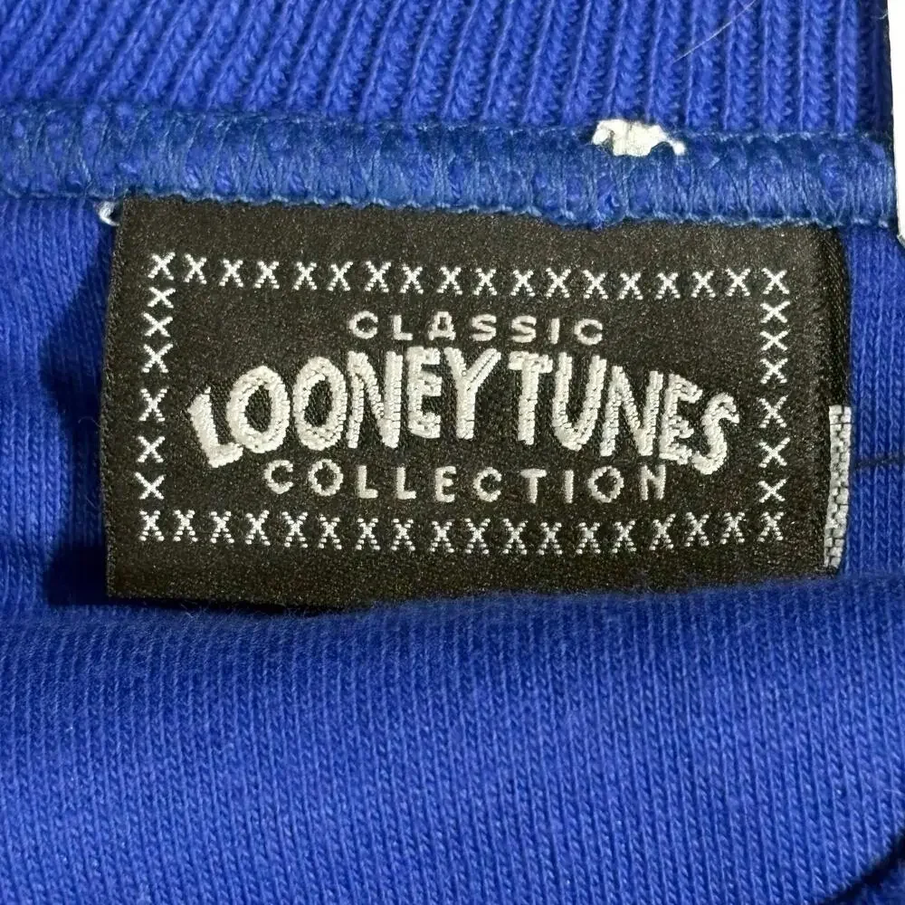 Looney Tunes Sweatshirt Boys XL 18-20 Blue Sylvester Tweety Fleece Pullover